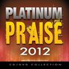 Maranatha! Praise Band Platinum Praise 2012