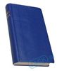Biblia czeska