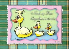 Kartka promise - Niech cię Pan błogosławi - kaczki