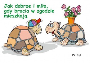 Kartka promise - Jak dobrze i miło gdy - żółwiki 