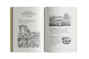 Klub Leśnych Odkrywców. Tajemna Sieć Shyli