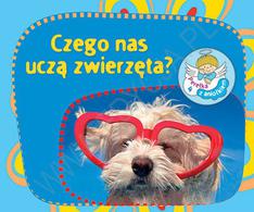Perełka z aniołkiem - Czego uczą nas zwierzęta?
