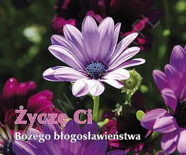 Perełka 215 - Życzę Ci Bożego Błogosławieństwa