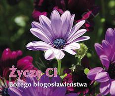 Perełka 215 - Życzę Ci Bożego Błogosławieństwa