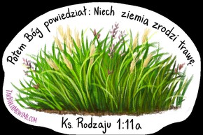 Naklejka - Trawa