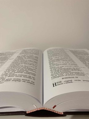 UBG bardzo duża czcionka ekoskóra - bordo