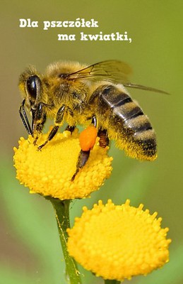 Bóg jest troskliwy -  przedszkole -  6