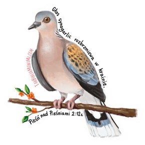 Naklejka - Synogarlica