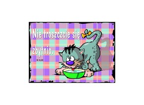 Naklejka prostokąt - Nie troszczcie się - kot