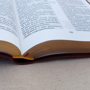 Uwspółcześniona Biblia Gdańska średnia F1 - bordo