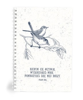Mój dziennik - Kiedym Cię wzywał - ptaszki