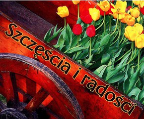 Perełka 185 - Szczęścia i radości