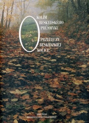 Okolice Przełęczy Beskidzkiej