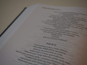 Nowa Biblia gdańska ekoskóra miękka,GRANAT wycięci