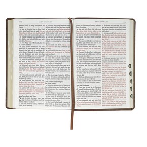 KJV Bible - Brown Crown of Thorns Giant Print Full