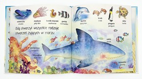 Stworzenie Świata - Słówka polsko-angielskie