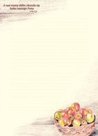 Papeteria A5 - A nad miarę obfita - kosz jabłka