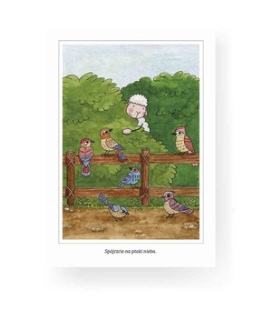 Pocztówka z kolorowanką - Spójrzcie na ptaki