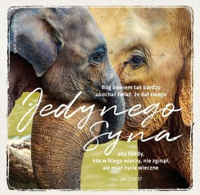 Podstawka korkowa AF - Bóg bowiem tak bardzo 