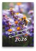 Terminarz 2026 z ks Twardowskim - Pszczoła