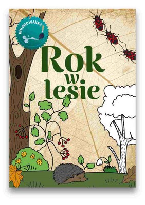 Rok w lesie - kolorowanka