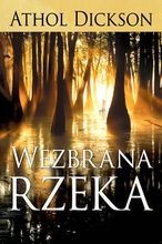 Wezbrana rzeka