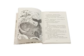 O przekornym Jonaszu  i inne historie z Biblii