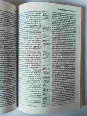 Nowe przymierze - nowy testament - winyl czarna