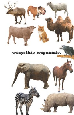 Bóg jest stwórcą -  przedszkole -  1