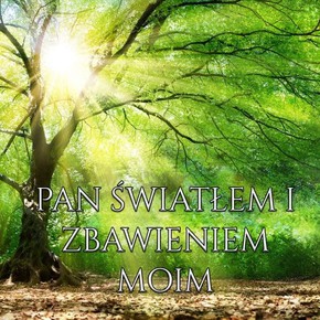 Podstawka korkowa - Pan światłem - drzewo