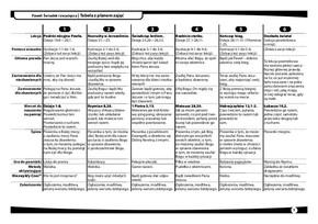 Paweł - Świadek i zwycięzca 