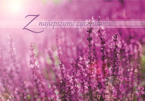 A Kartka składana - Z najlepszymi życzeniami 2