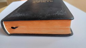 OUTLET - Biblia NP średnia- skóra