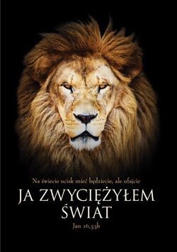 Karnet AF - Ja zwyciężyłem świat