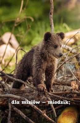 Bóg jest troskliwy -  przedszkole -  6