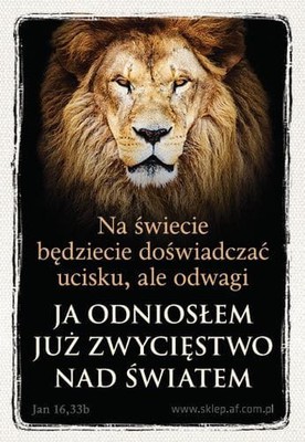 Magnes AF - Na świecie będziecie ...