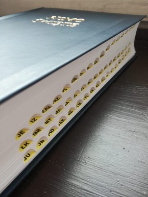 Nowa Biblia gdańska ekoskóra miękka, BRĄZ wycięcia