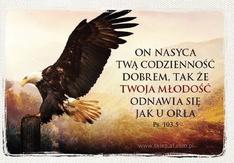 Magnes AF - On nasyca twą codzienność dobrem