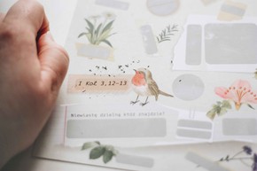 Zdrapka - O jak piękna jesteś