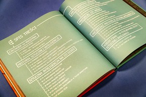 Alicja w krainie przyszłości