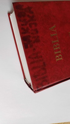 OUTLET - Biblia Jakuba Wujka