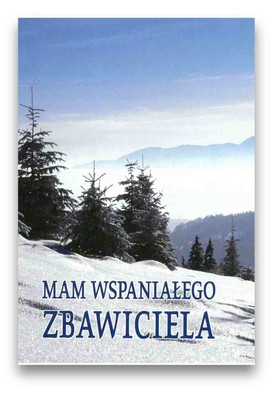 Mam wspaniałego Zbawiciela - RLCH