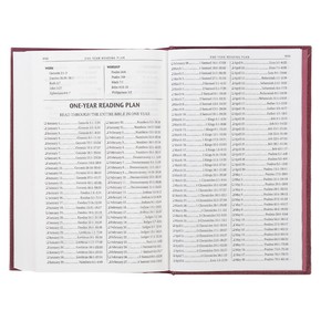 KJV Bible - Burgundy Hardcover