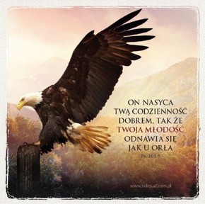 Podstawka korkowa AF - On nasyca twą codzienność