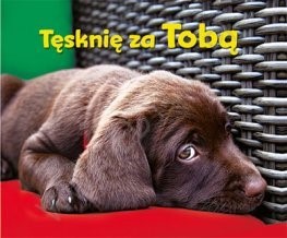 Perełka 271 - Tęsknię za Tobą 