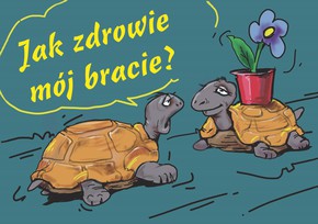 Kartka promise - Jak zdrowie mój bracie - żółwie 
