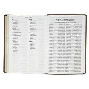 KJV Bible - Brown Crown of Thorns Giant Print Full