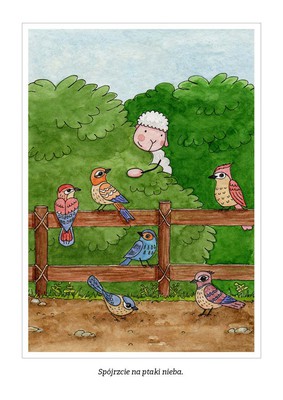 Pocztówka z kolorowanką - Spójrzcie na ptaki