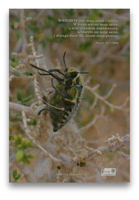 Psalmy i modlitwy mojego serca. Tomik pierwszy