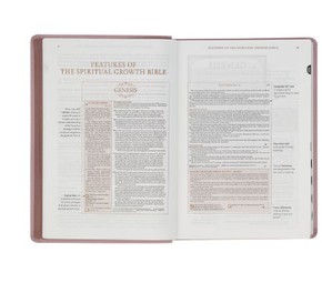 Dusty Mauve Faux Leather Spiritual Growth Bible